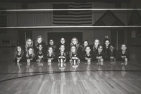 Volleyball